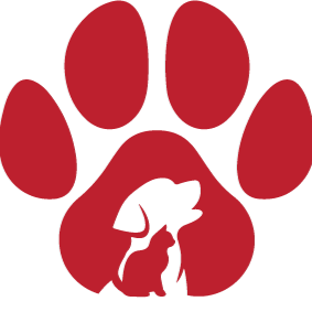 4PawsPlus Pet Supplies and Grooming logo