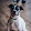 Kevin Bourgeois Kevin Bourgeois's profile photo