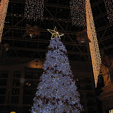 IMG_3033.jpg