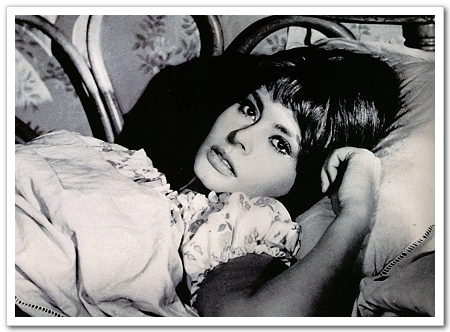 Sophia Loren Sophia Loren