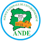 Agence Nationale de l'Environnement (ANDE)