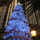 IMG_3042.jpg