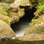 Rock formations and creek in the Boarding House Creek in the Watagans (322550)