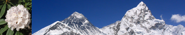 Cover photo