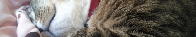 Cover photo
