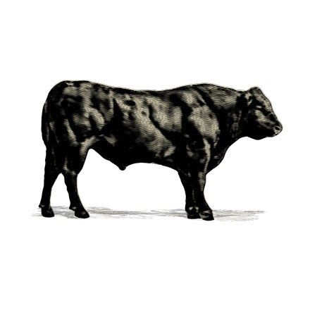 Fat Ox logo