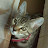 Sue J Mailes avatar image