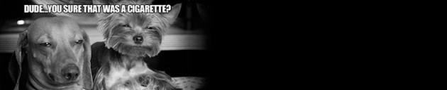 Cover photo