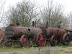 Old Traction engines at Fenn Row