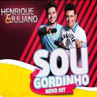 Henrique e Juliano – Eu Sou Gordinho (2013) - Mp3