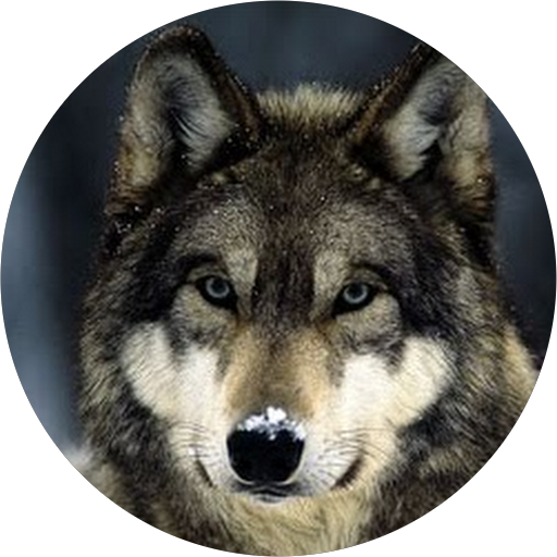 Wolf Pack