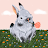 Aquena Q avatar image