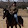Ellen Hilborn Ellen Hilborn's profile photo