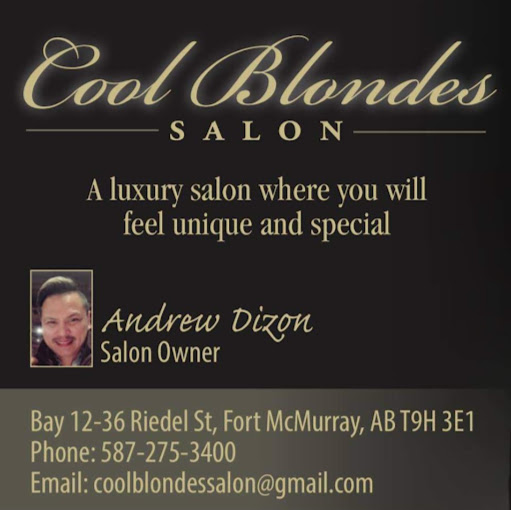 Cool Blondes Salon logo