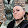 Kythera Contreras Kythera Contreras's profile photo