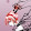 Jill Rouleau Jill Rouleau's profile photo