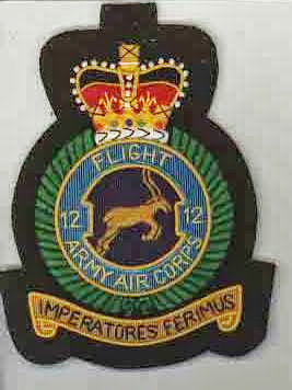 AAC 012 Flight version 1.jpg