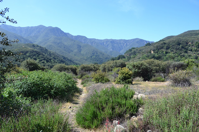 Murietta Canyon Trail