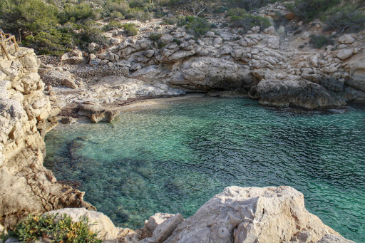 Playa Racó del conill