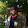 Michael Snyder Michael Snyder's profile photo