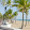 Fort Lauderdale Online Fort Lauderdale Online's profile photo