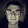 Stefano Tosato Stefano Tosato's profile photo