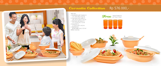 Carnatia%252520Collection.PNG