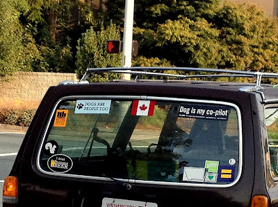 Stickers on the rear window of a Volvo denote, Dogs are people too and Dog is my co-pilot.