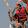 Shishir Vaidya Shishir Vaidya's profile photo