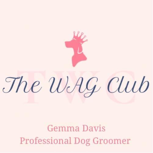 The WAG Club Dog Grooming