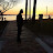 Daniel Adams avatar image