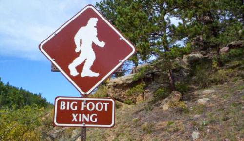 Bigfoot Whisperer Claims New Approach To Search For Creature