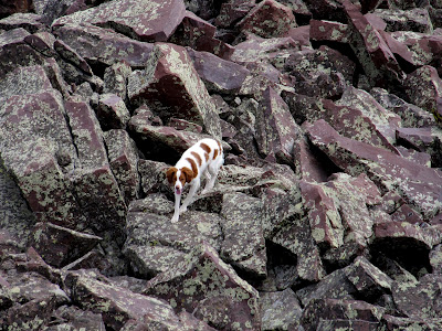 Torrey waited below--she wouldn't go past this point for some reason