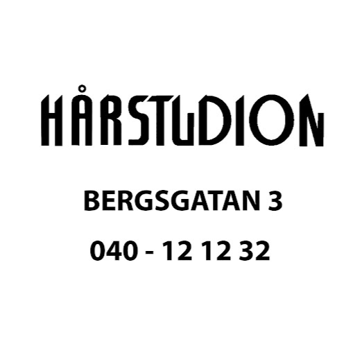 Hårstudion logo