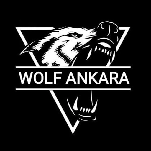 WOLF ANKARA logo