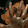 Analton Morion Analton Morion's profile photo