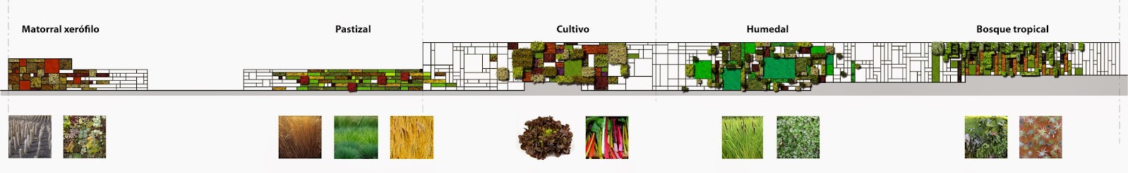Diseño de jardín vertical en México