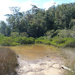Smiths Creek at high tide (306713)