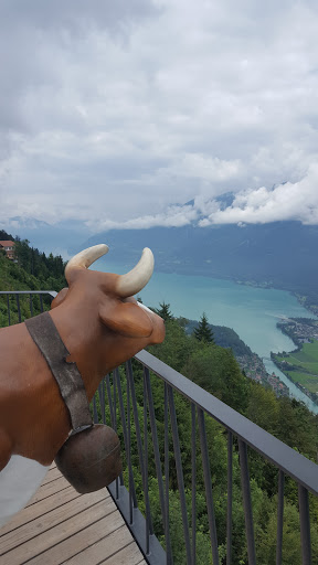 Harder Kulm