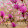 lucy bianco lucy bianco's profile photo