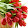 Agatha C. Melvin Agatha C. Melvin's profile photo
