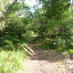 Wide track on the Galgabba Point walk (386984)