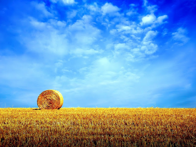 Amazing Wallpapers Harvest,Amazing Wallpapers