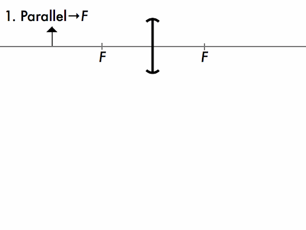 The first principal ray follows from the fundamental focusing property of a converging lens: that parallel light rays will be brought to a focus (at the focal point).  The third principal ray is a 180° rotation of the first principal ray diagram.