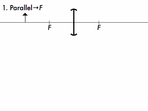 The first principal ray follows from the fundamental focusing property of a converging lens: that parallel light rays will be brought to a focus (at the focal point). The third principal ray is a 180° rotation of the first principal ray diagram. The first principal ray follows from the fundamental focusing property of a converging lens: that parallel light rays will be brought to a focus (at the focal point). The third principal ray is a 180° rotation of the first principal ray diagram.