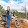 Will Gronewold Will Gronewold's profile photo