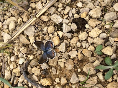 Photos of Necedah National Wildlife Refuge Visitor's Center