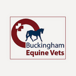 Buckingham Equine Vets