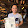 Jason Vitug Jason Vitug's profile photo