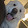 Jae H. Paul Yang Jae H. Paul Yang's profile photo